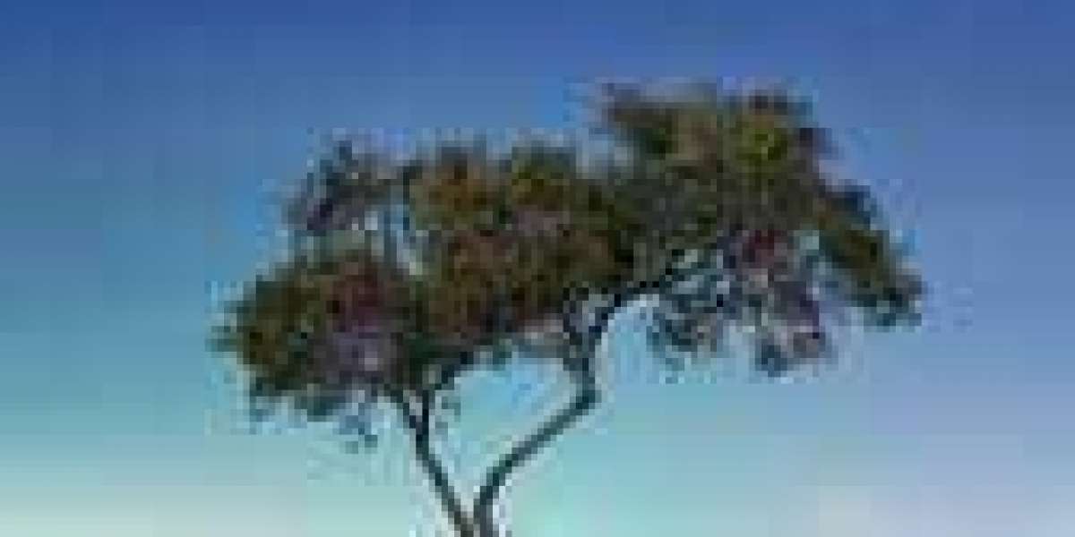 Previous Arizona Cardinals Shield Alan Faneca elected in direction of HOF