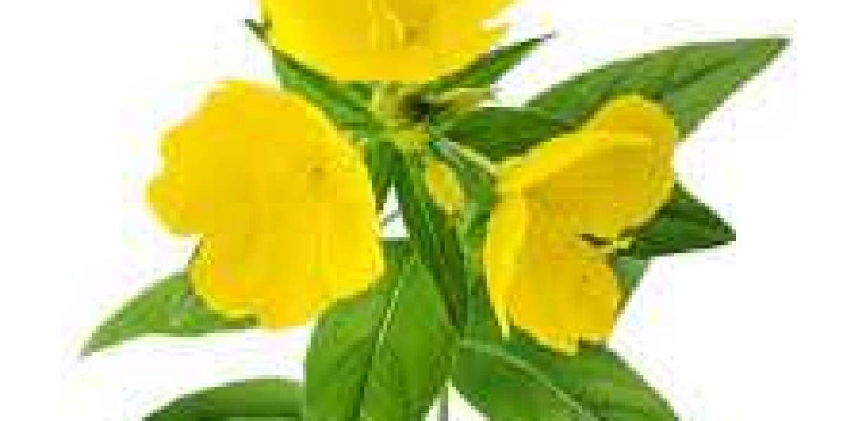 Air Jordan 13 White Obsidian Dark Powder Blue