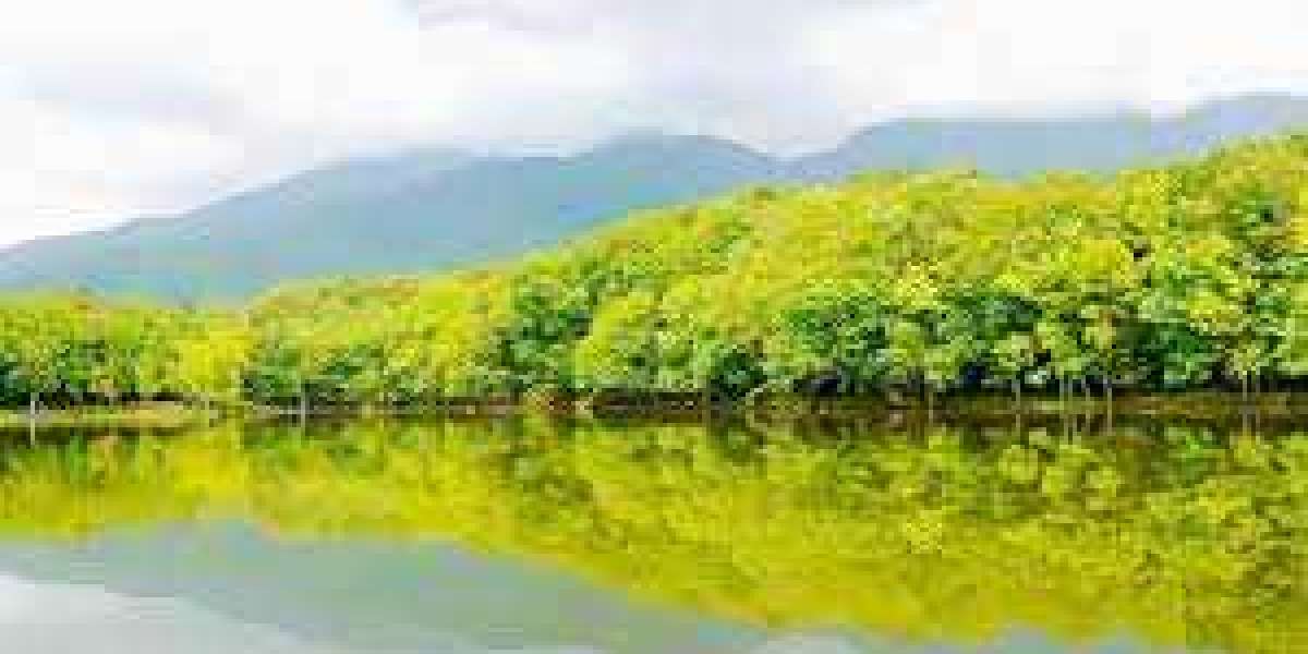 Was Willis McGahee The Simplest Functioning Back again In the direction of Perform At Miami?