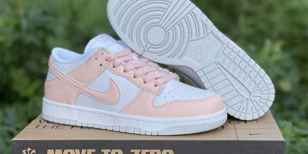 2021 Brand New Nike Dunk Low Move To Zero DD1873-100