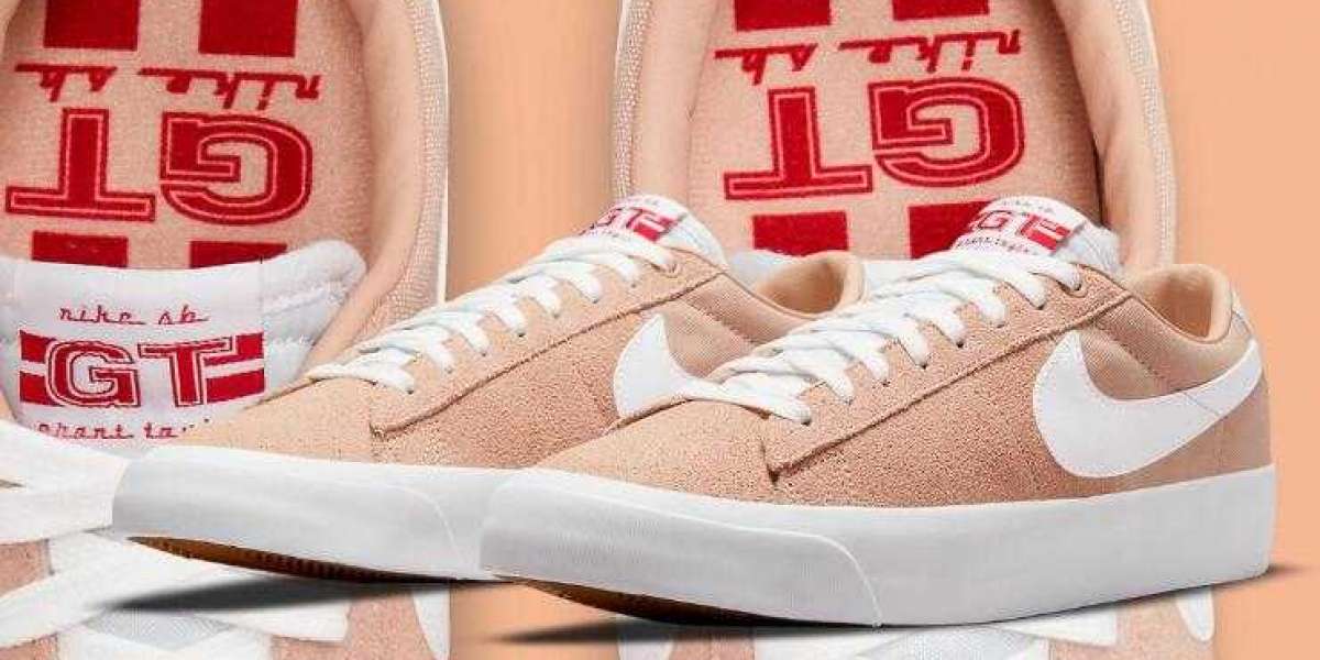 Tan Suede And Canvas Appear on Nike SB Blazer Low GT