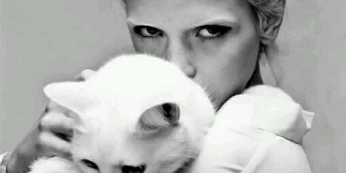 The only pair of Nike Air Force 1 in the world! You can only take a look. .