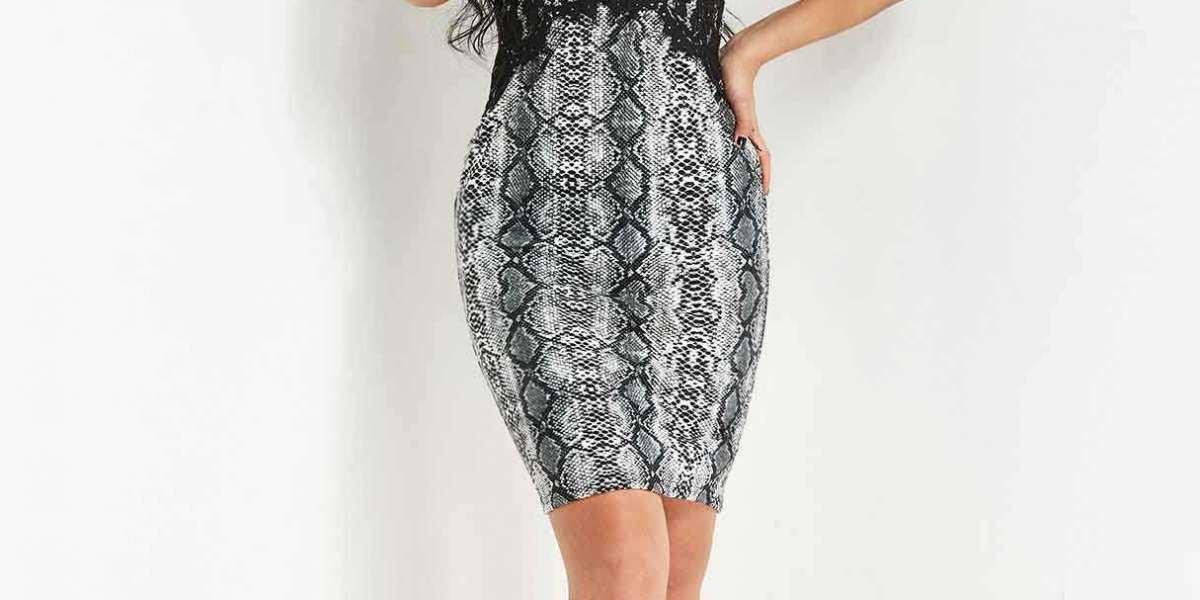 Everything You Need to Know about Nixiya Factory