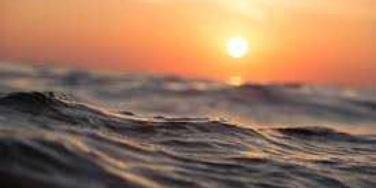 A tiny league mascot Twitter takeover finished Whilst a pickle confirmed his junk