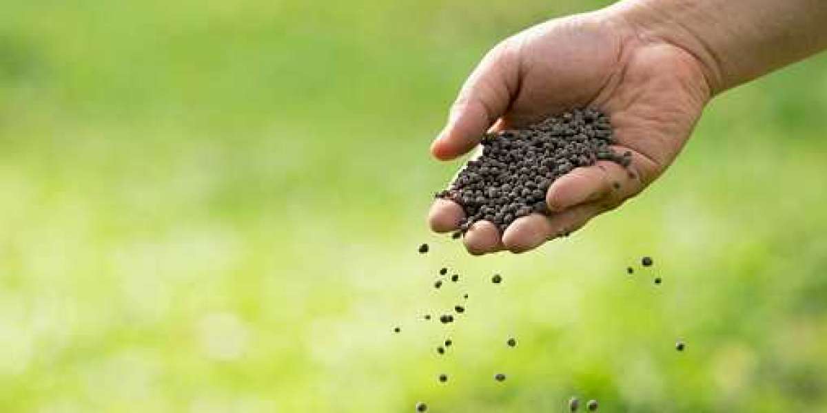 Fertilizer Additives Technology Industry Regional Outlook, Key Players with Increasing Demand