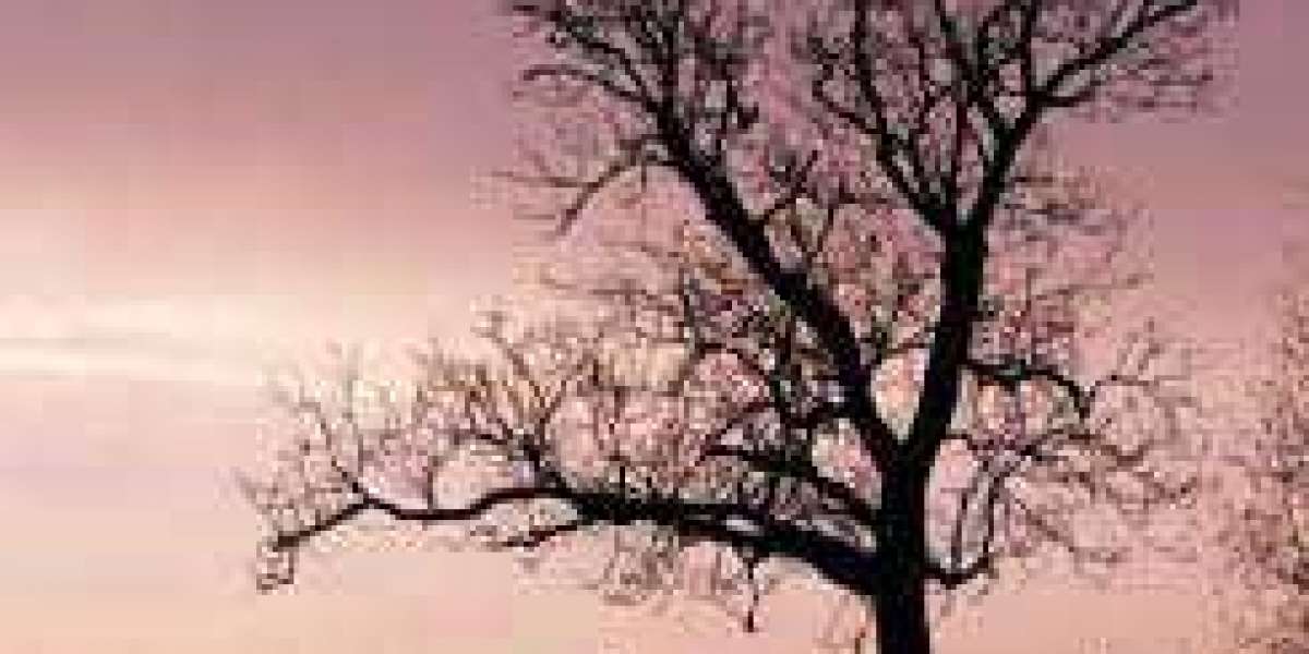 Recruiting: Soccer reviews ups and downs between schooling switching