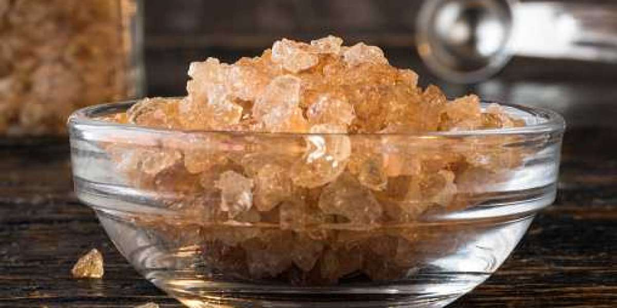 Guar Gum Market Size and Upcoming Trends