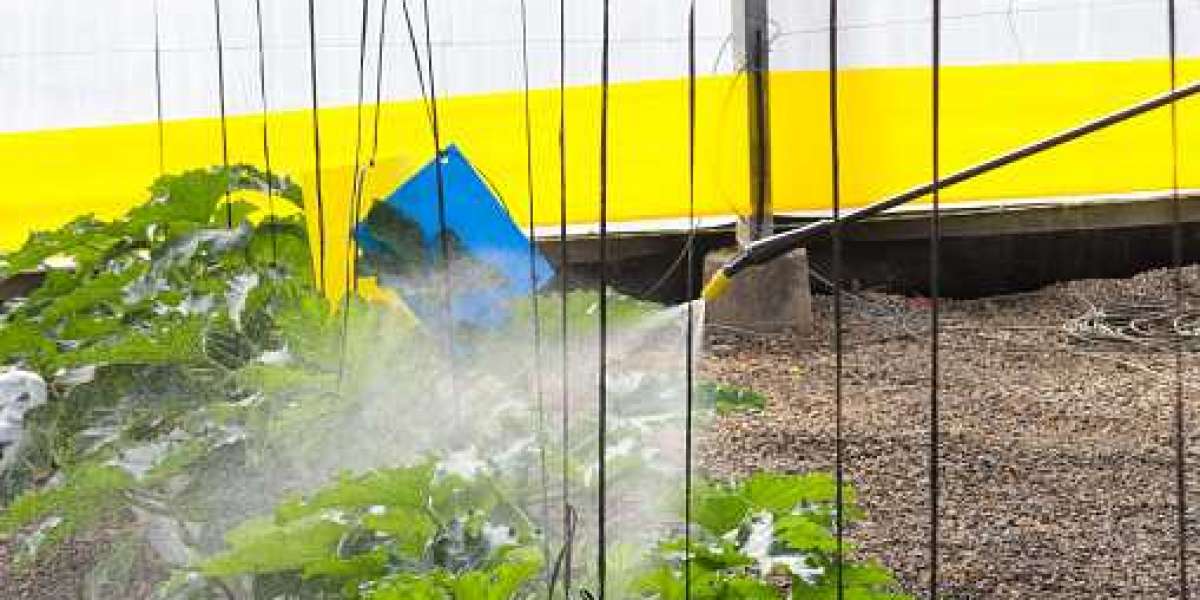 Biostimulants Market Size, Share Overview, Industry Players, Revenue and Product Demand