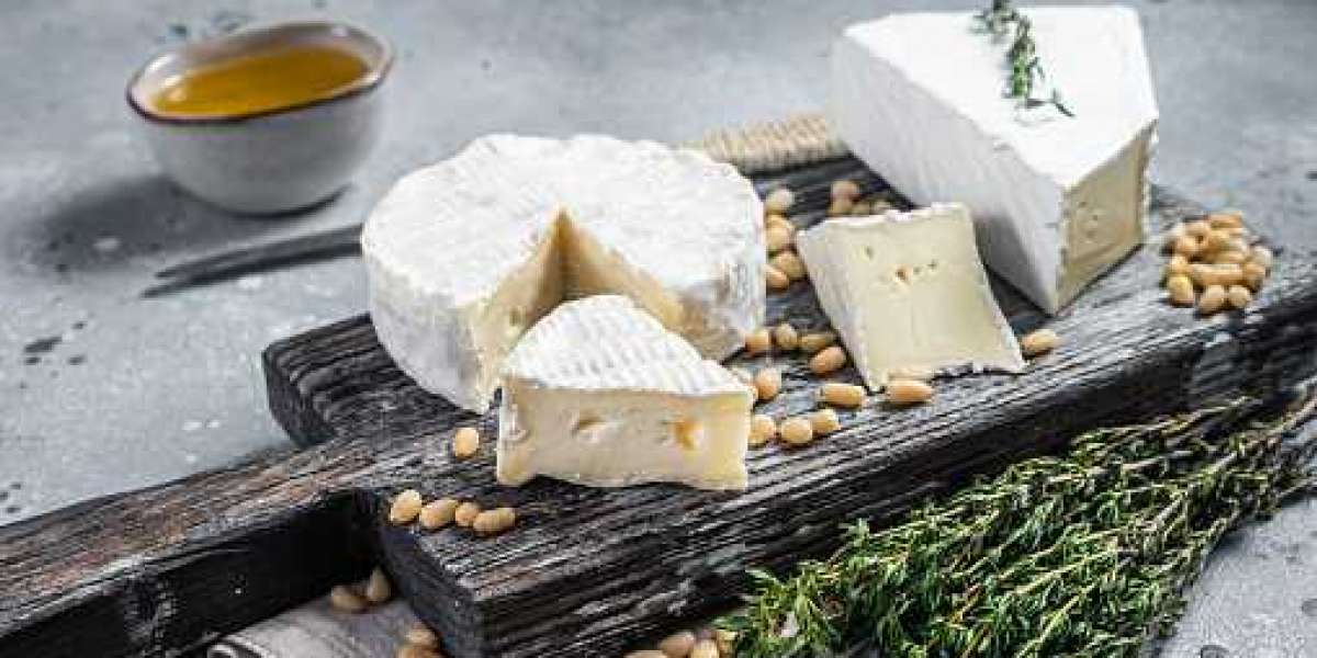 Mold Inhibitors Market to Witness Significant Revenue Growth during the Forecast Period