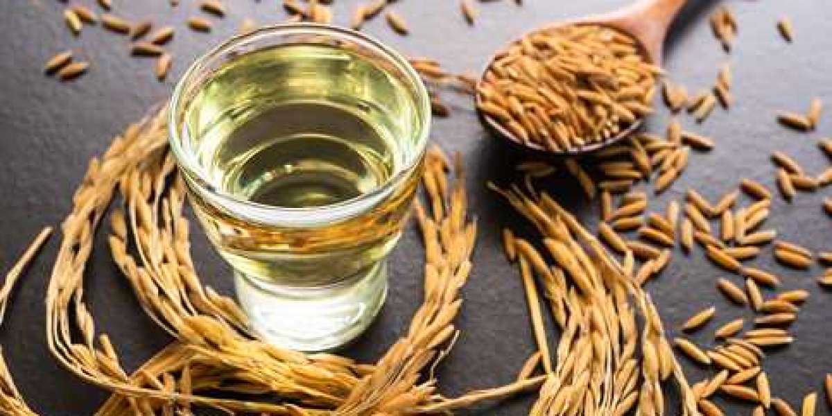 Rice Bran Oil Market Overview, To Grow with Increased Worldwide Emphasis on Industrialization
