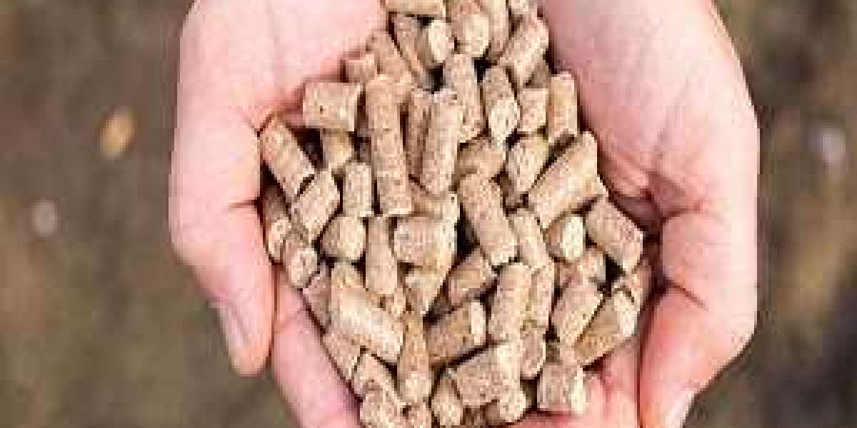 Compound Feed Market Size, Growth And Forecast |Cumulative Impact of COVID-19