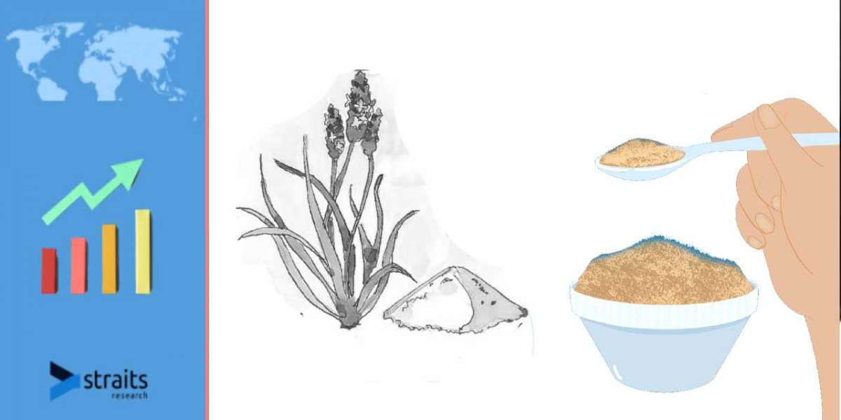 Global Psyllium Husk Powder Market; Industry Trends, Growth Analysis, Share By 2029 | StraitsResearch