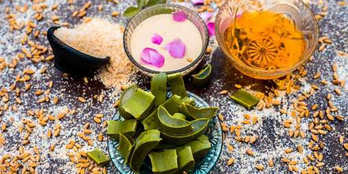 Sugar Confectionery Market Size, Share, Trends, Future insights and Research Methodology