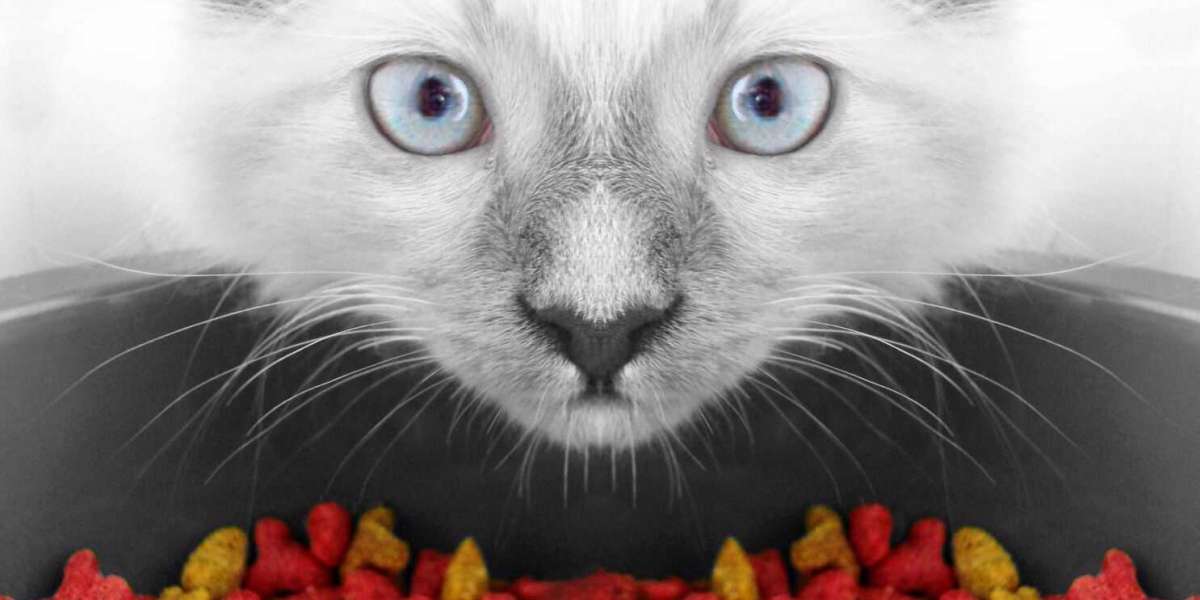 Are You Feeding Your Cat Safe Cat Food?