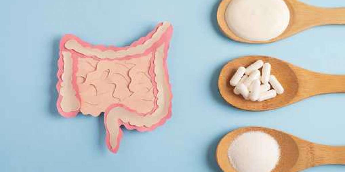 Prebiotics Ingredients Market Developments, Opportunities Witness Significant Growth