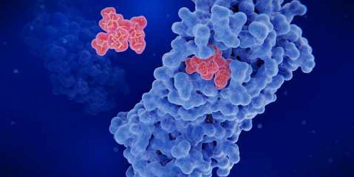 Proteases Market Size & High Growth Potential in Emerging Markets