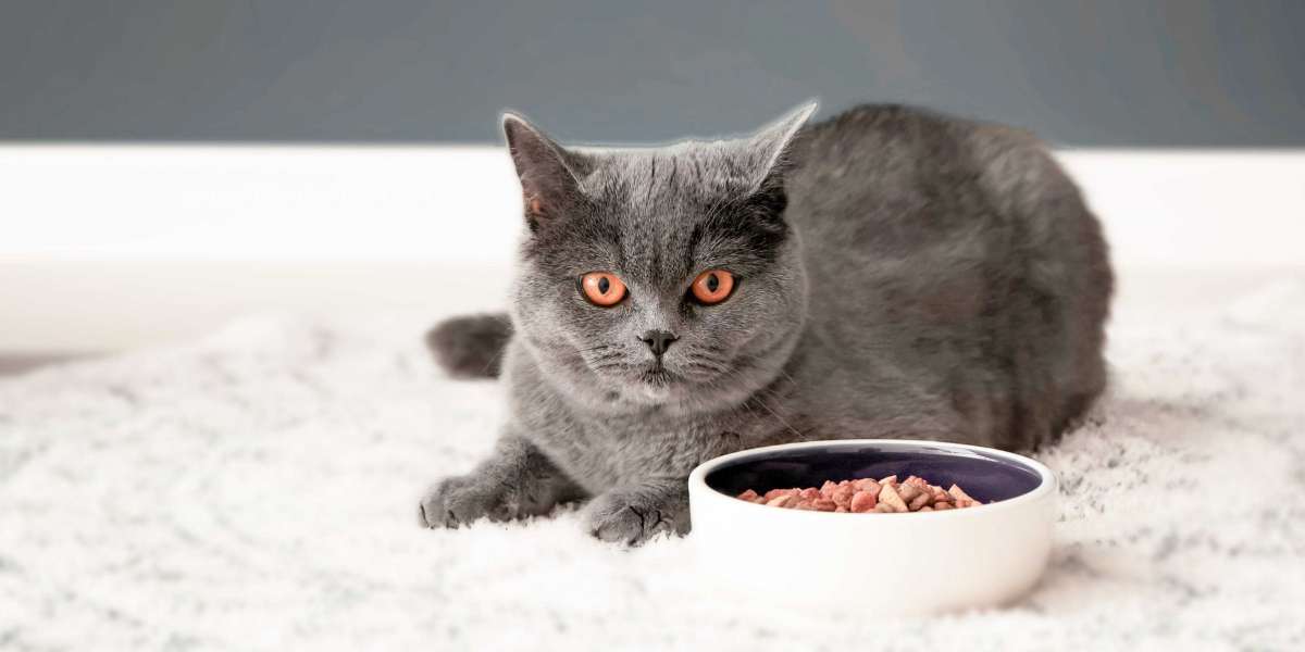 Dry Cat Food - What to Consider