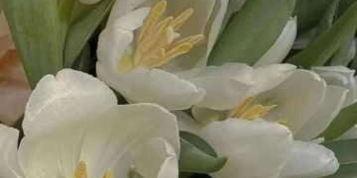 Significant 12 Men Basketball Saturday Rundown: Cowboys Finish Year with an Disappointed