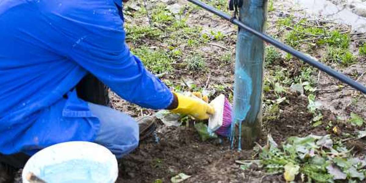 Copper Fungicides Market Share Growing Rapidly with Recent Trends & Outlook 2030 | MRFR Report.