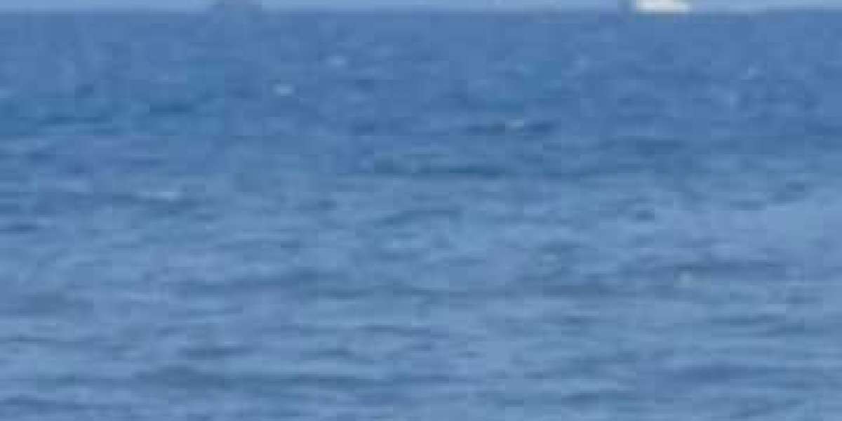 Anchor Get rid of, August 3, 2021: 32 Times in the direction of Kickoff