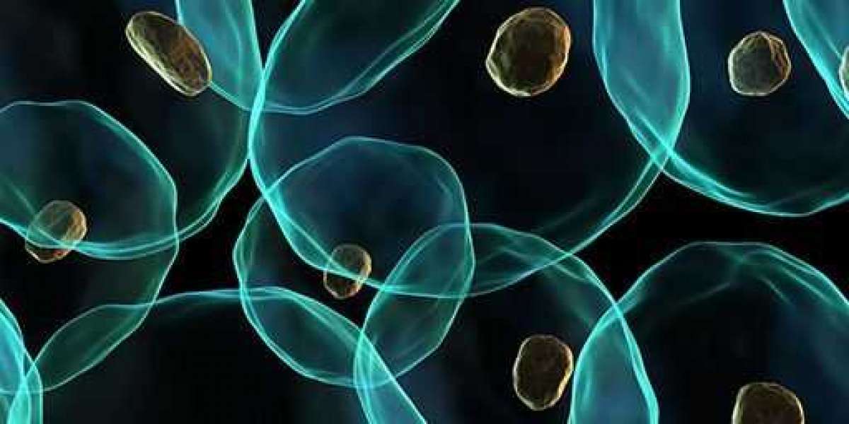 Apoptosis Assays Market Future Scope, Market Trends, Development, Business Outlook, Analysis and Forecast 2028