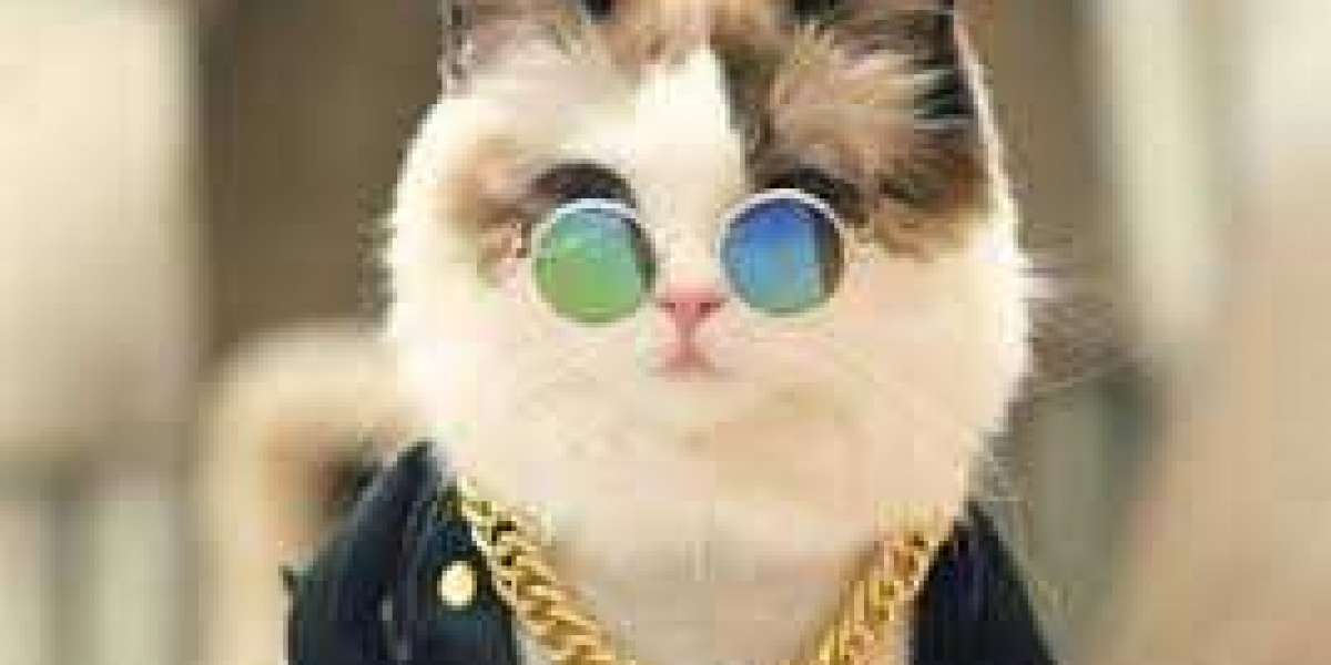 Patriots want towards generate cap spot in direction of exchange