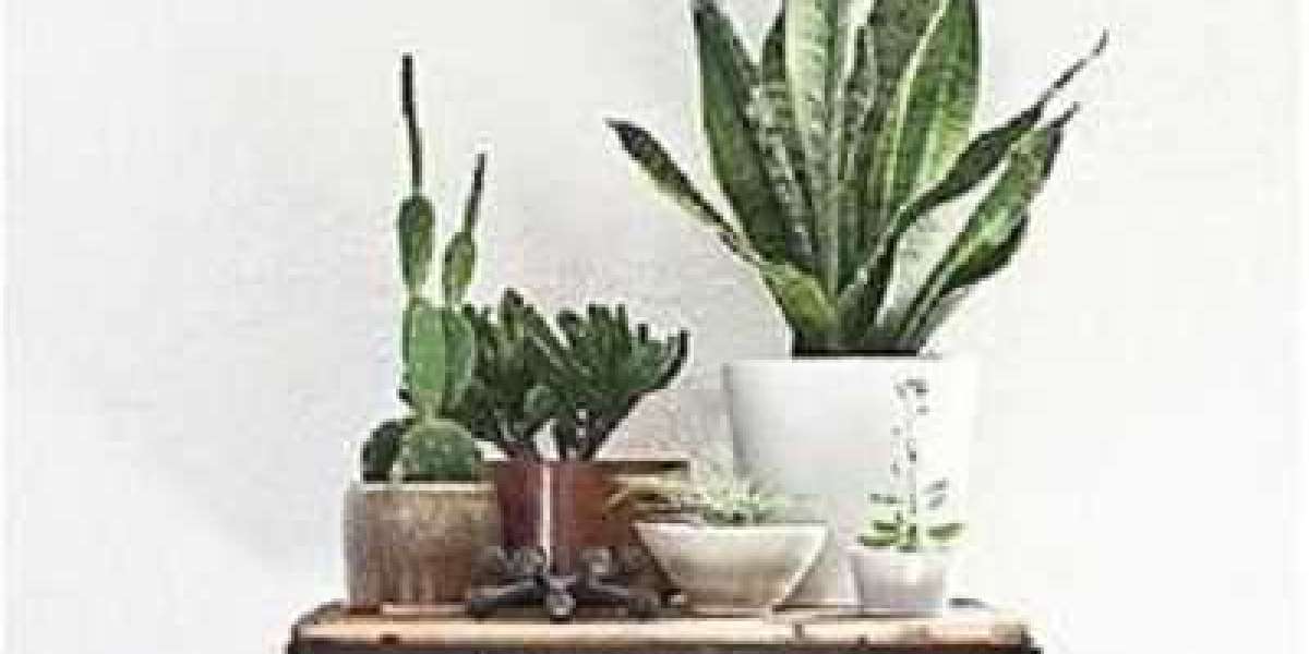 Hidden marriage love, the president is super overbearing.