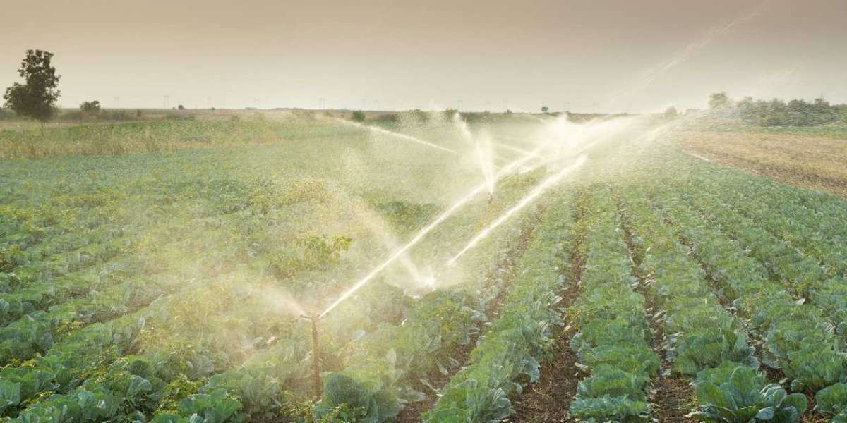 Irrigation Automation Market Size Estimation, Consumption, Demand, Industry Trends and Growth Opportunities till 2028