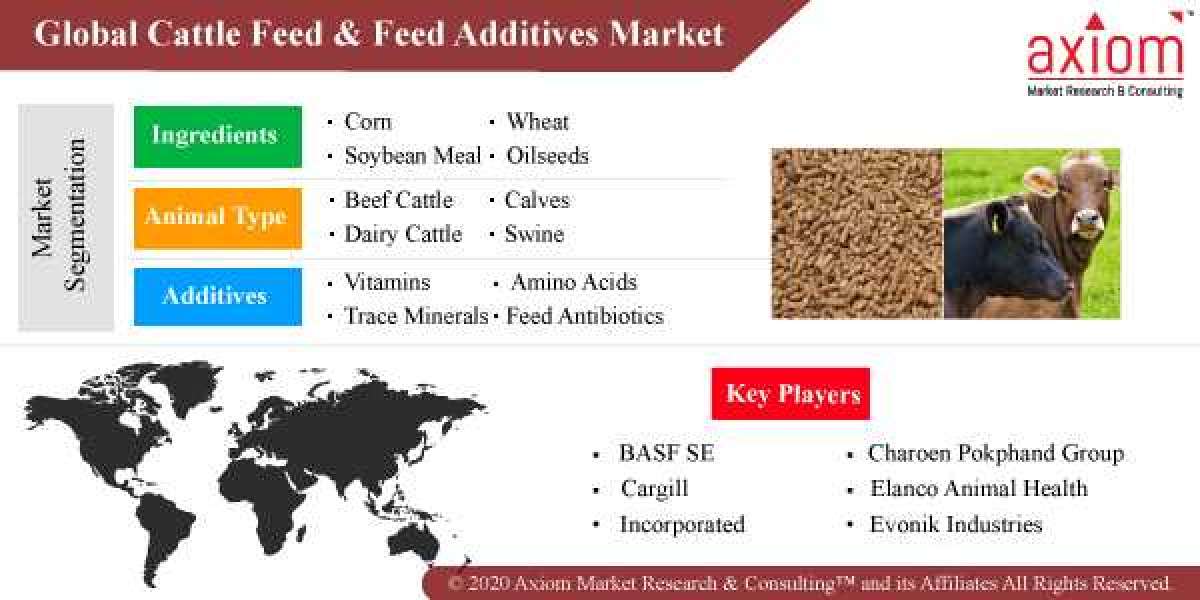 Cattle Feed & Feed Additives Market: Size, Share, and Forecast 2019-2028