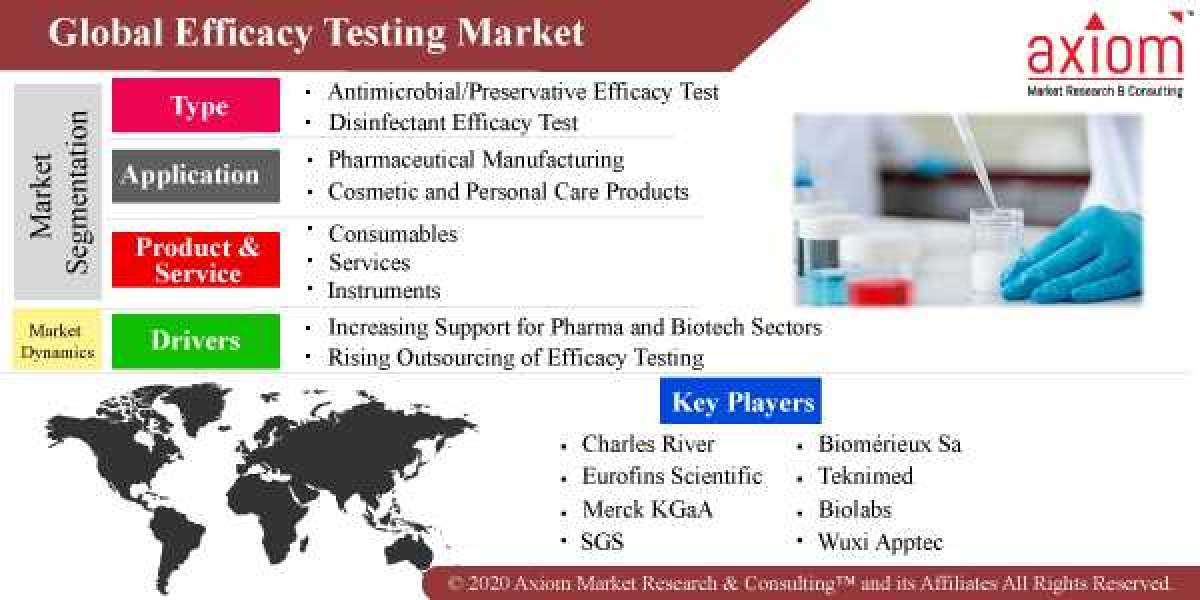 Efficacy Testing Market Global Share, Trends, Analysis & Forecast 2019 to 2028