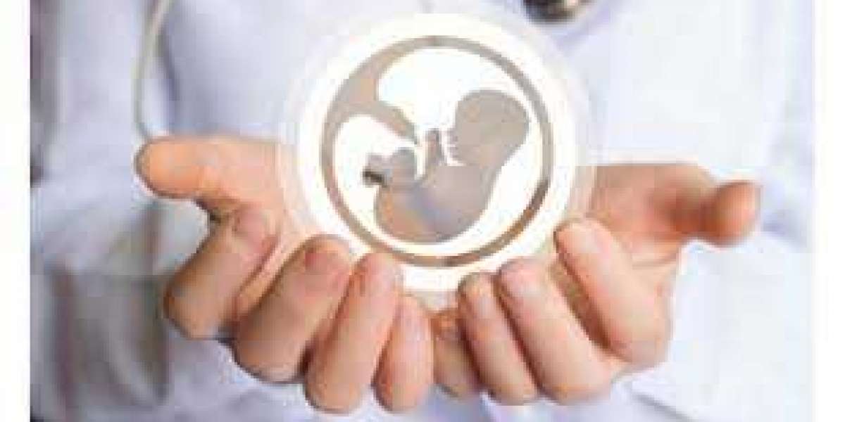 Fertility Services Market Growth Analysis, Emerging Trends, Opportunities, Sales Revenue, Business Strategy, Future Pros