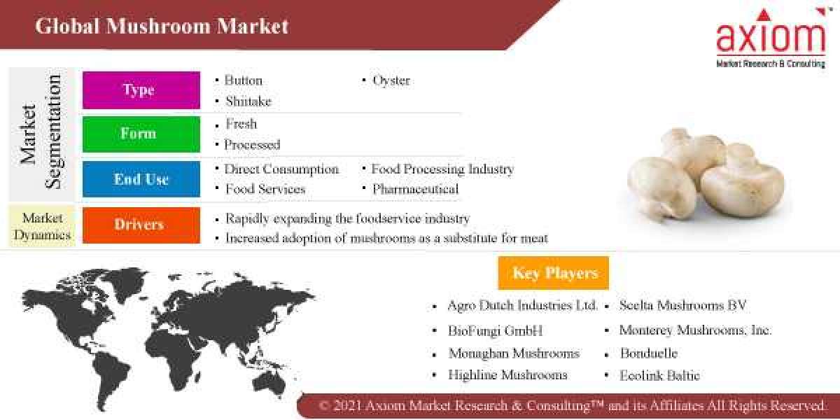 Mushroom Market Size and Forecast, 2019-2028