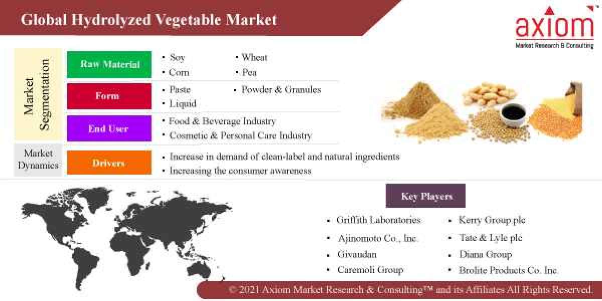 Hydrolyzed Vegetable Protein Market Share, Trend Analysis & Forecast, 2019 – 2028