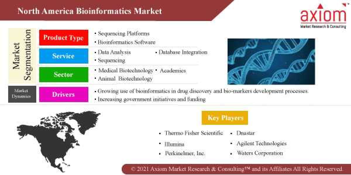 Future of the North America Bioinformatics Market: Size, Share, and Forecast 2019-2028