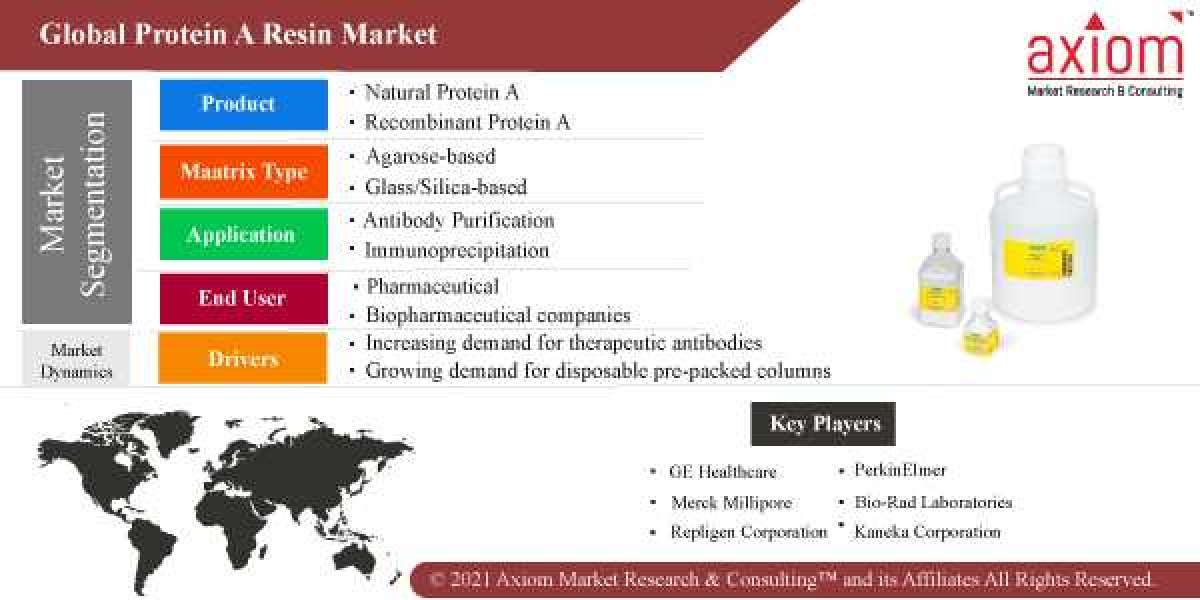 Protein A Resin Market Global Share, Trends, Analysis & Forecast 2019 to 2028