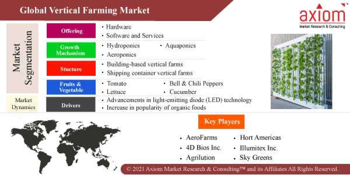 Future of Vertical Farming Market in 2022-2028