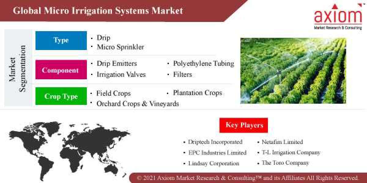 Micro Irrigation Systems Market Size and Forecast, 2019-2028