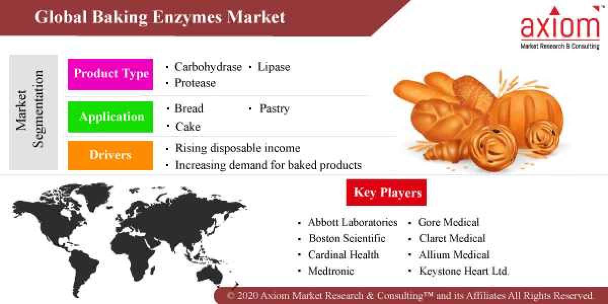 Baking Enzymes Market Share, Trend Analysis & Forecast, 2019 – 2028