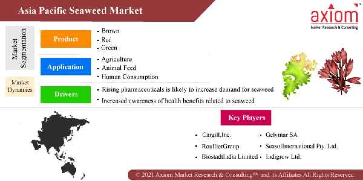 Asia Pacific Seaweed Market Report Global Industry Share and Business Growth Analysis 2019 to 2028