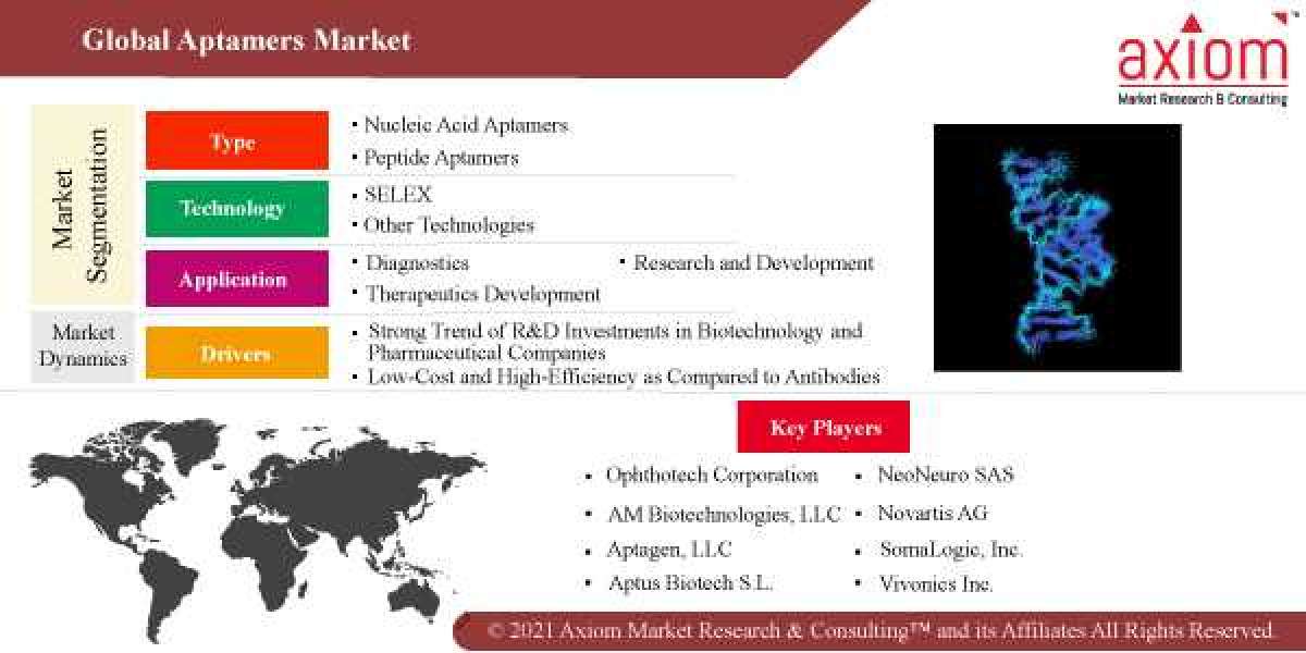 Aptamers Market Share, Trend Analysis & Forecast, 2019 – 2028