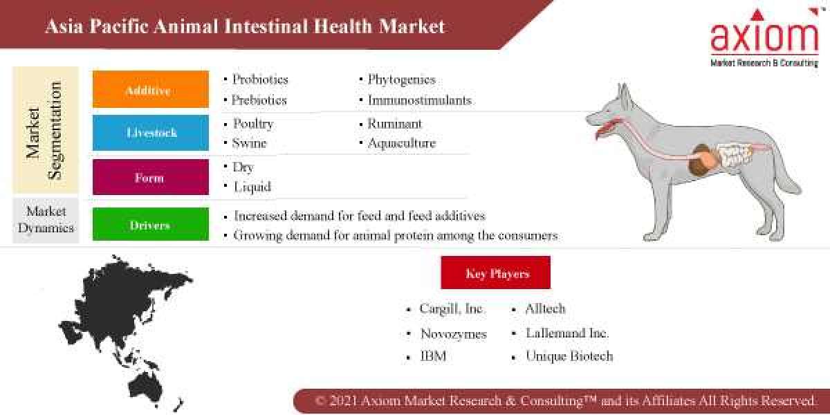 Asia Pacific Animal Intestinal Health Market Share, Trend Analysis & Forecast, 2019 – 2028