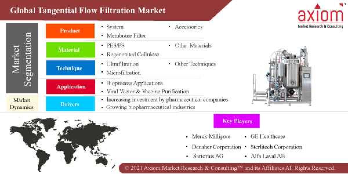 Tangential Flow Filtration Market Share, Trend Analysis & Forecast, 2019 – 2028