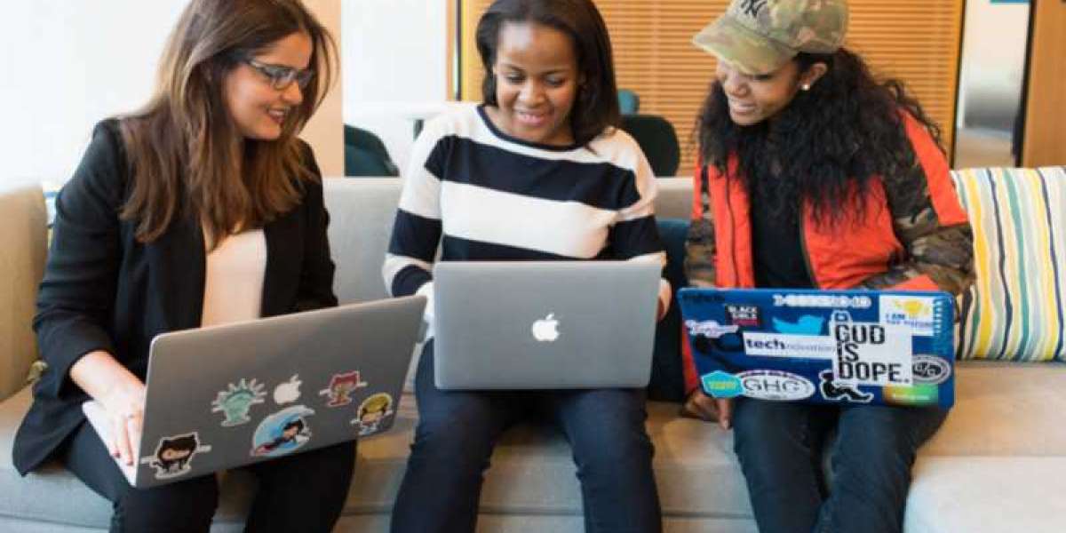 Assignment Help Ireland