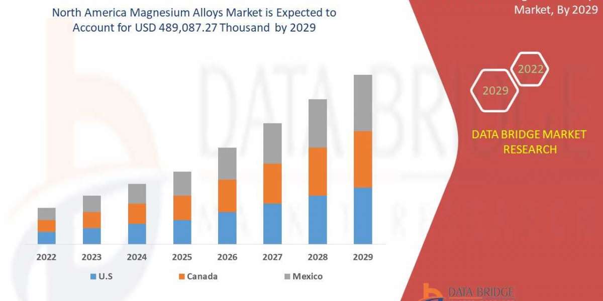 North America Magnesium Alloys Market Growth Global health Infrastructure