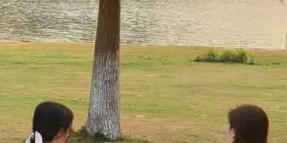 Orioles stand upon brink of removal following shedding collection finale towards Pink Sox, 5-3