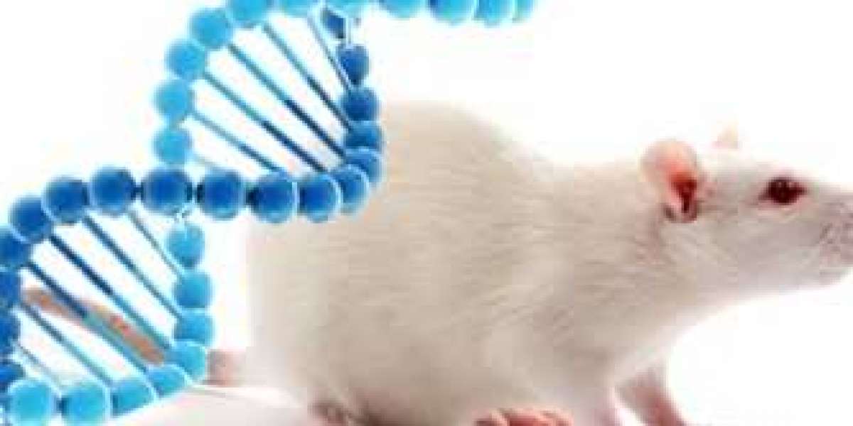 Animal Model Market Growth Opportunities & Growth, and Future Investments Demographic, Geographic Segment by 2028