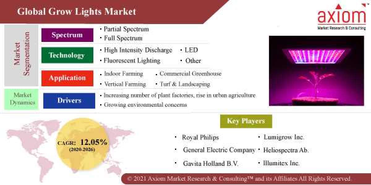 Grow Lights Market Share, Trend Analysis & Forecast, 2019–2028