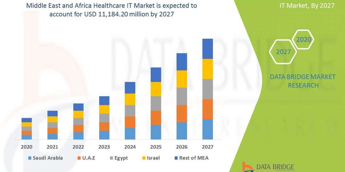Middle East and Africa Healthcare IT  Opportunity Analysis