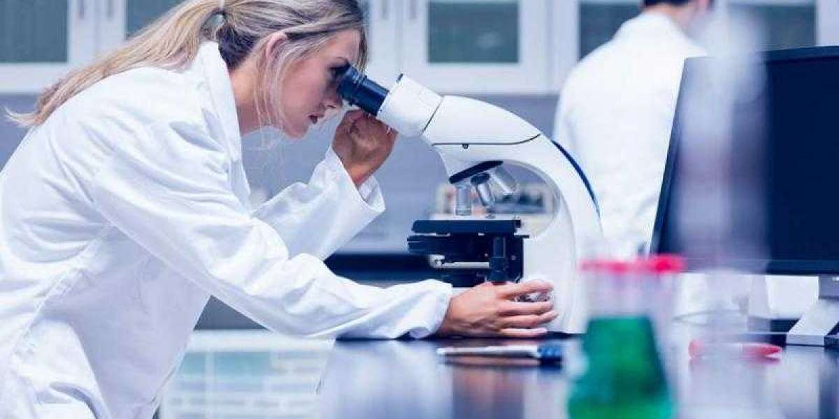 Veterinary Rapid Test Market Growth, Analysis, Trends, Industry Analysis and Forecast 2028