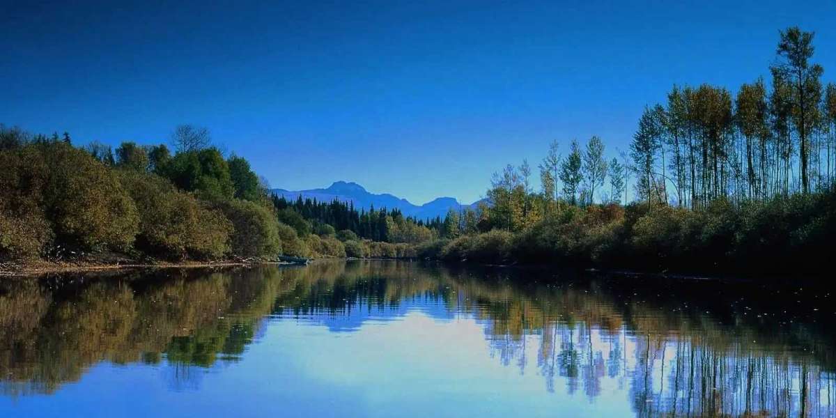 Mets Flex Their Economical May perhaps upon Black Friday